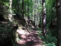 2010-06-12, Uttewalder Grund (7)
